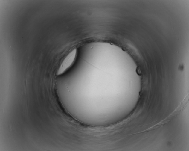 X0000102230029200807250820