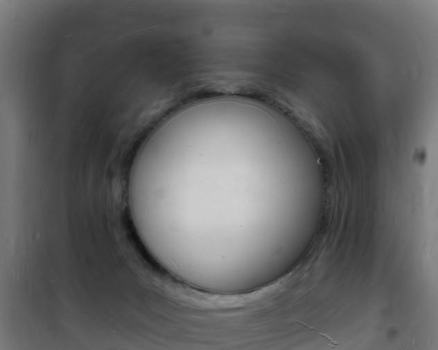 X0000102230031200807250820