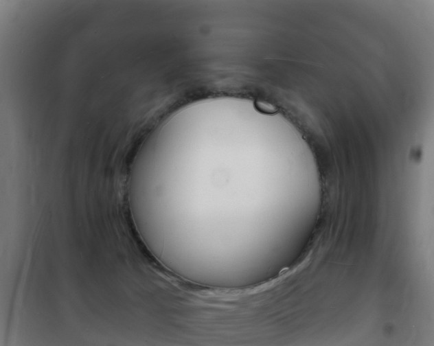 X0000102230033200807250820