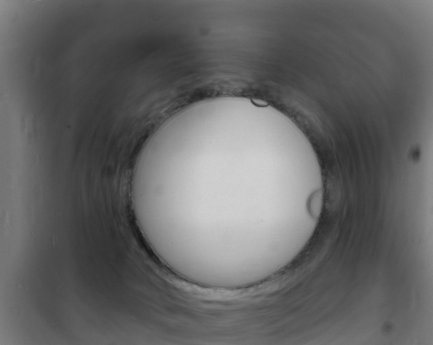X0000102230034200807250820