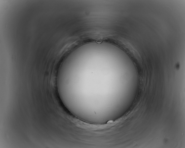 X0000102230035200807250820