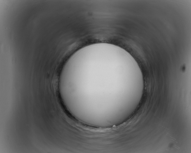 X0000102230036200807250820