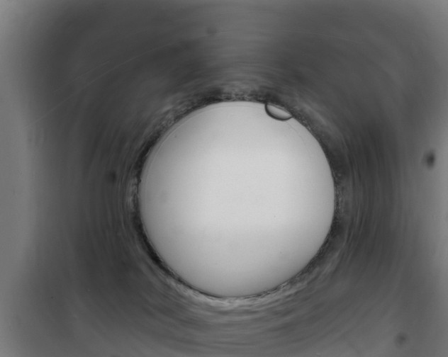 X0000102230038200807250820
