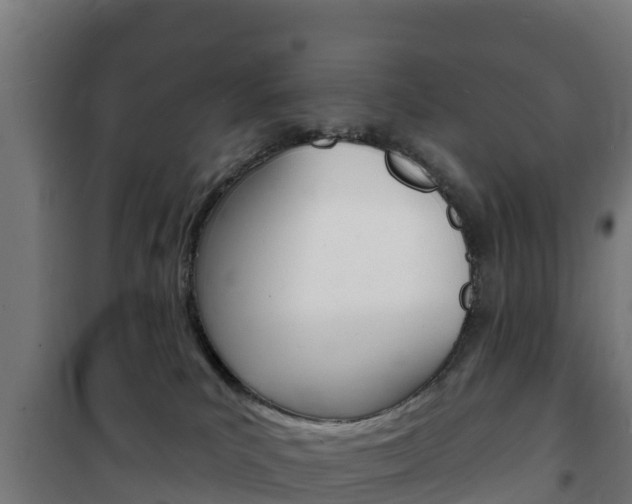 X0000102230039200807250820