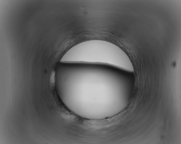 X0000102230041200807250820
