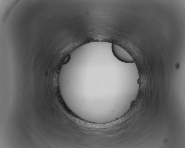 X0000102230043200807250820