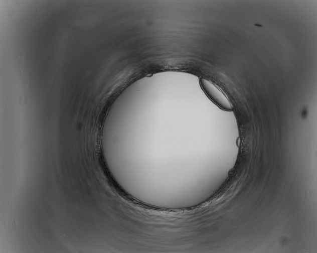 X0000102230044200807250820