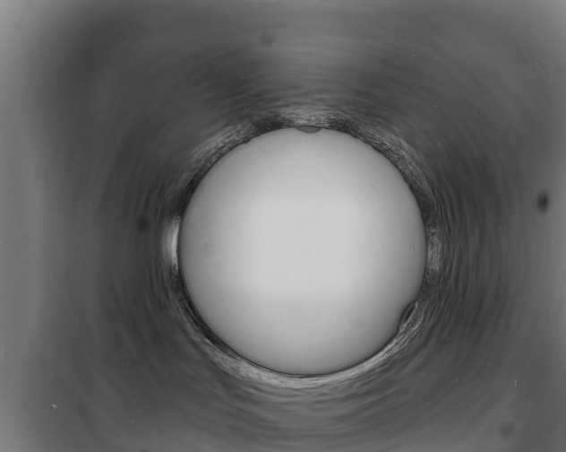 X0000102230047200807250820