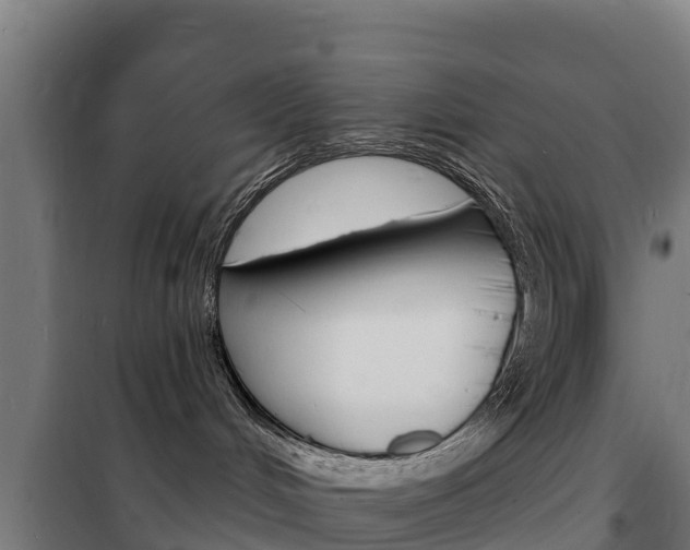 X0000102230048200807250820