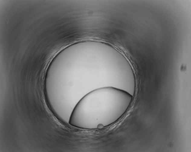 X0000102230049200807250819