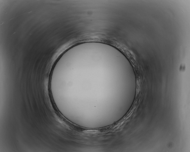 X0000102230051200807250819