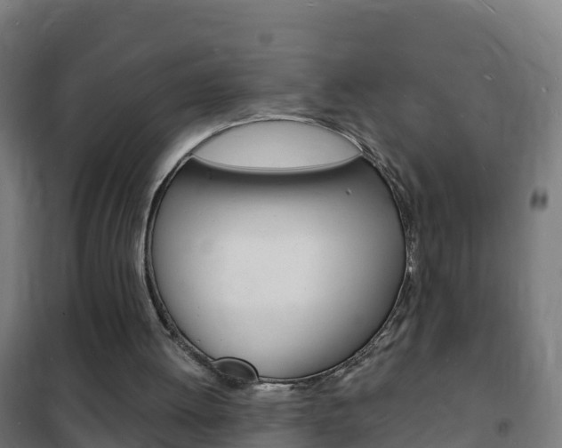 X0000102230052200807250819