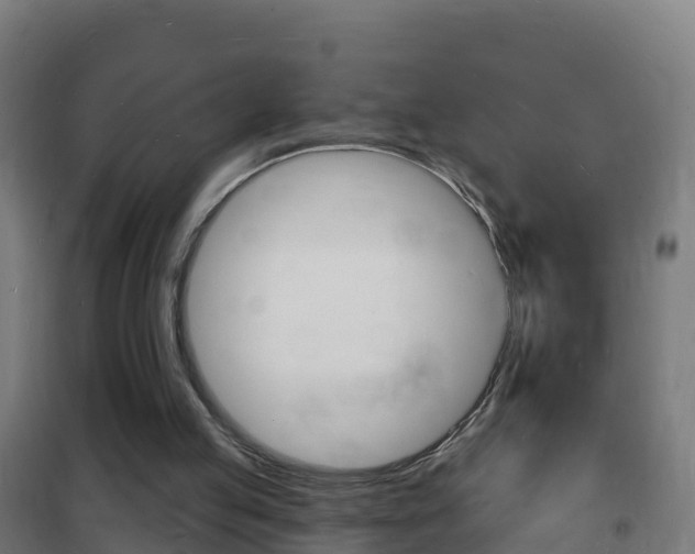 X0000102230053200807250819