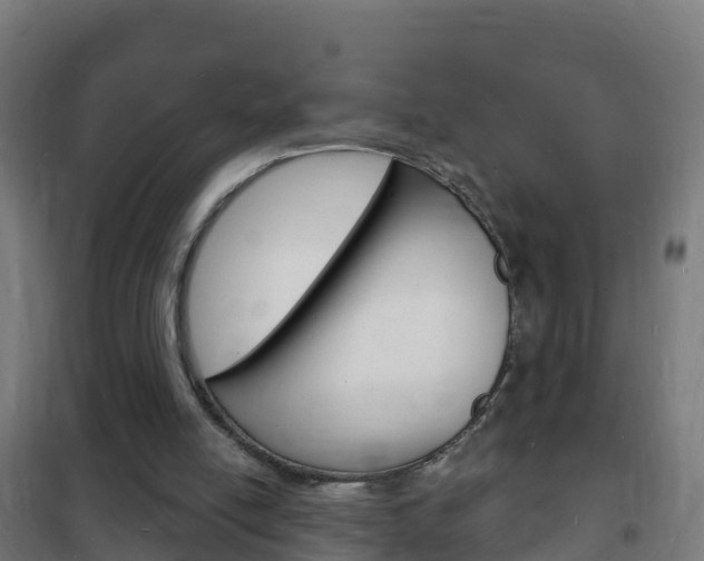 X0000102230054200807250819