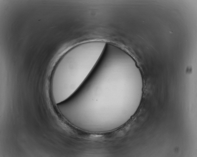 X0000102230055200807250819