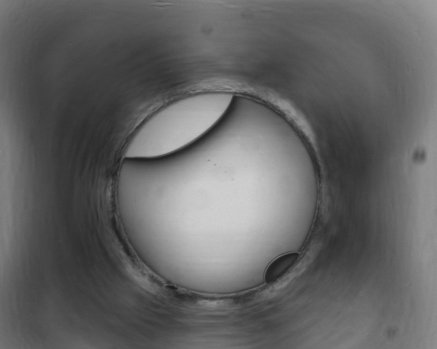X0000102230057200807250819