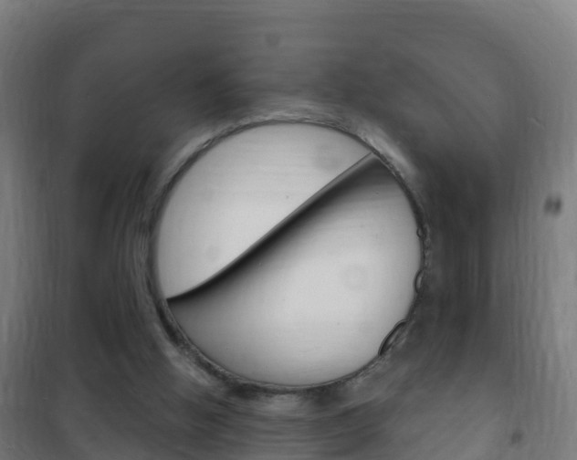 X0000102230058200807250819