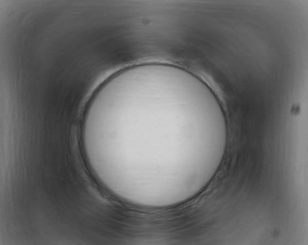 X0000102230060200807250819