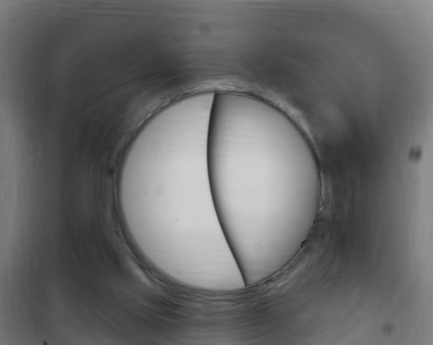 X0000102230061200807250819
