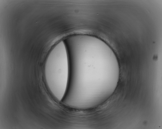 X0000102230062200807250819