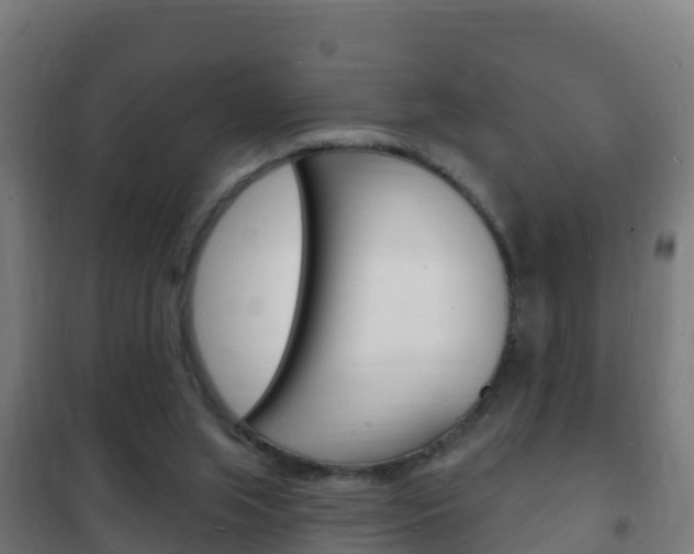 X0000102230063200807250819