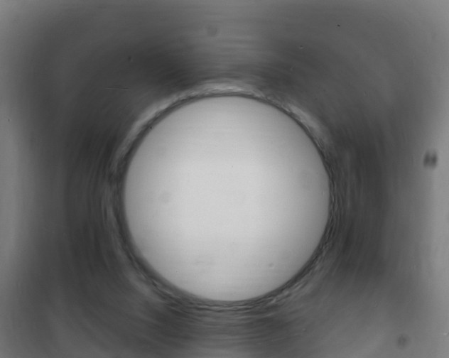 X0000102230064200807250819