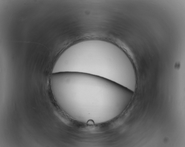 X0000102230065200807250819