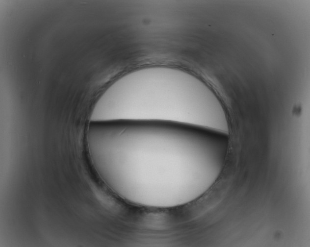 X0000102230066200807250819