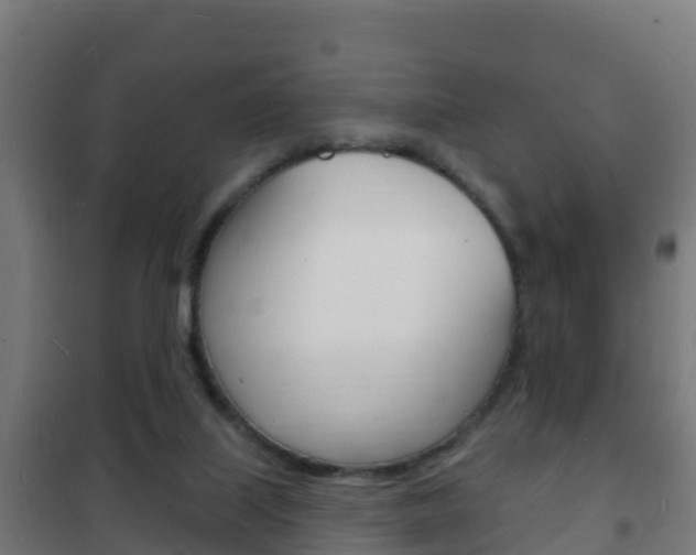 X0000102230067200807250819