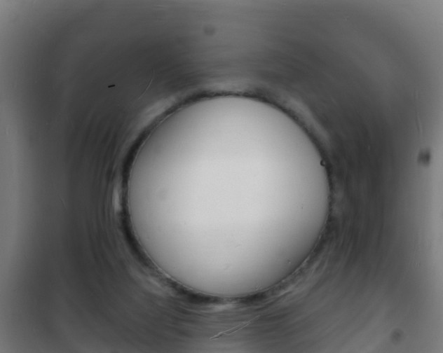 X0000102230068200807250819