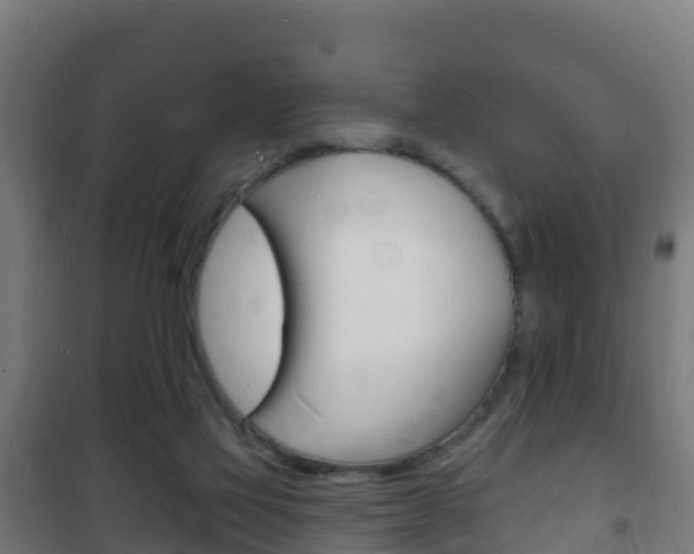 X0000102230069200807250819
