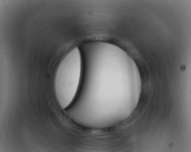 X0000102230070200807250819