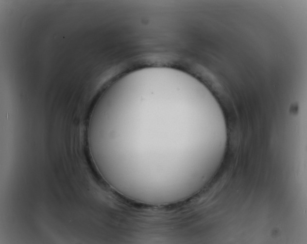 X0000102230071200807250819