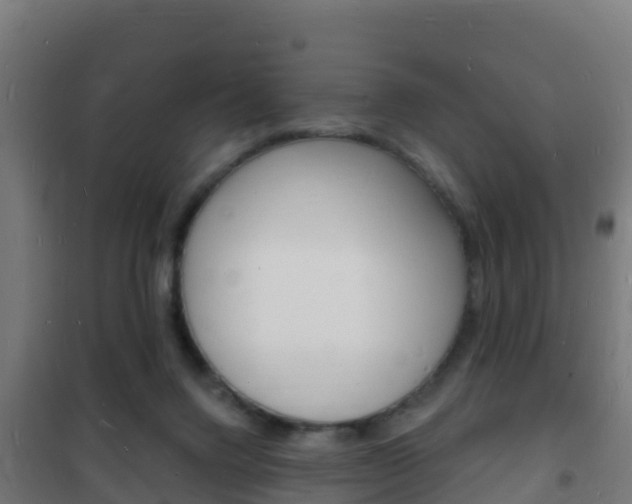 X0000102230072200807250819