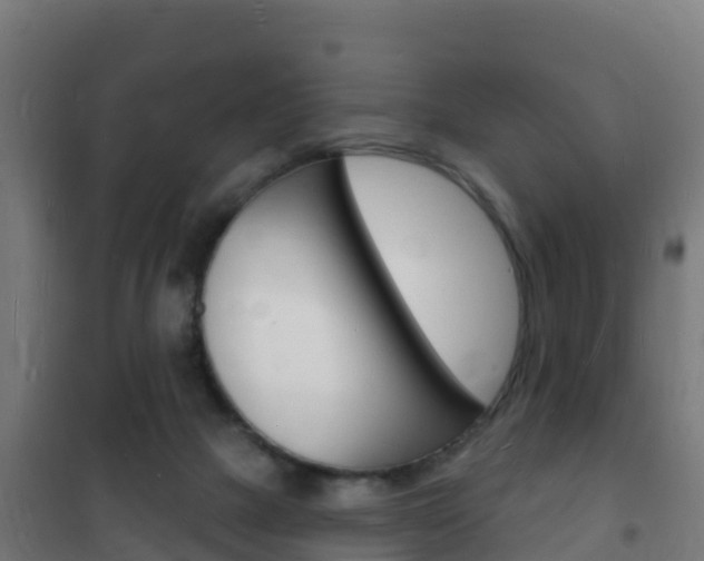 X0000102230073200807250819