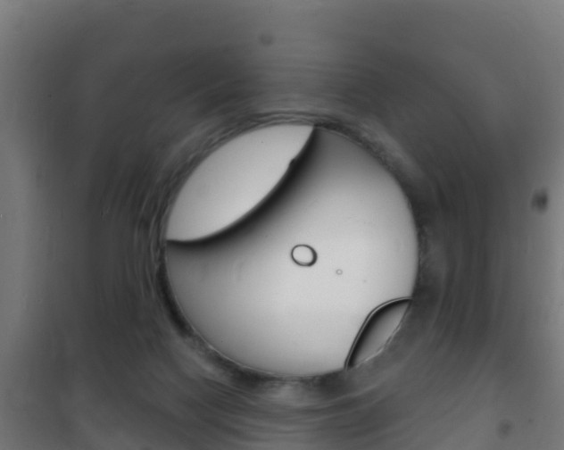 X0000102230074200807250819