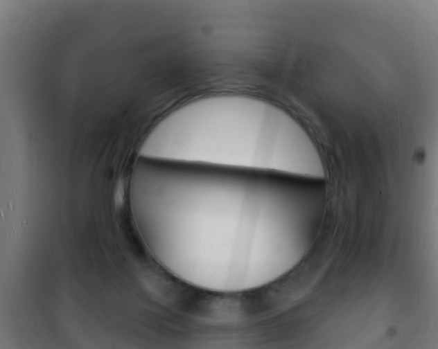 X0000102230075200807250819