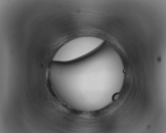 X0000102230076200807250819