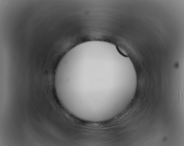X0000102230079200807250819