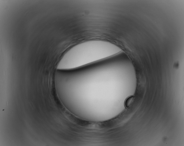 X0000102230080200807250819