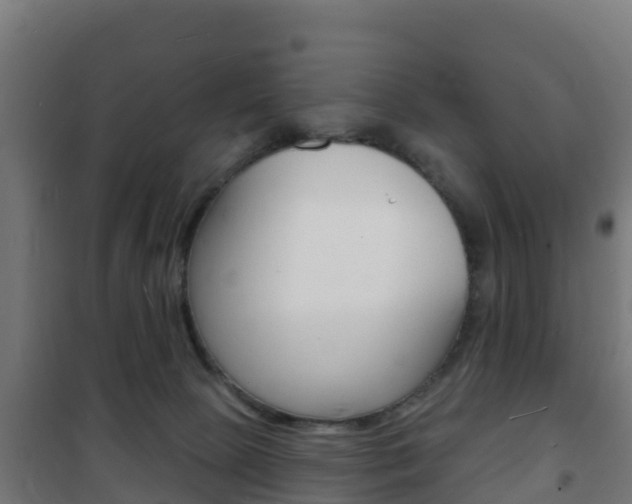 X0000102230081200807250819