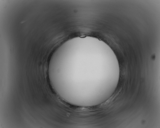 X0000102230082200807250819