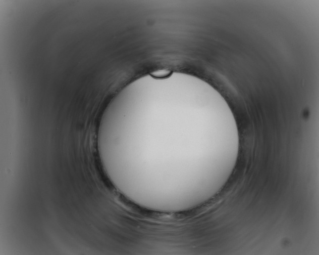 X0000102230083200807250819
