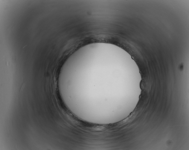 X0000102230086200807250819