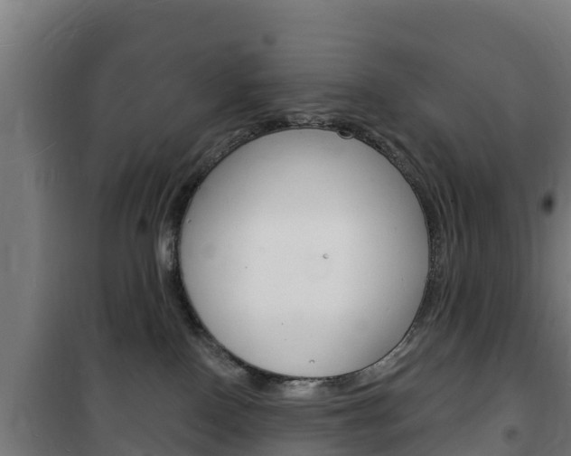 X0000102230090200807250820