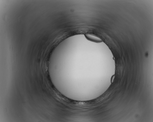 X0000102230091200807250820