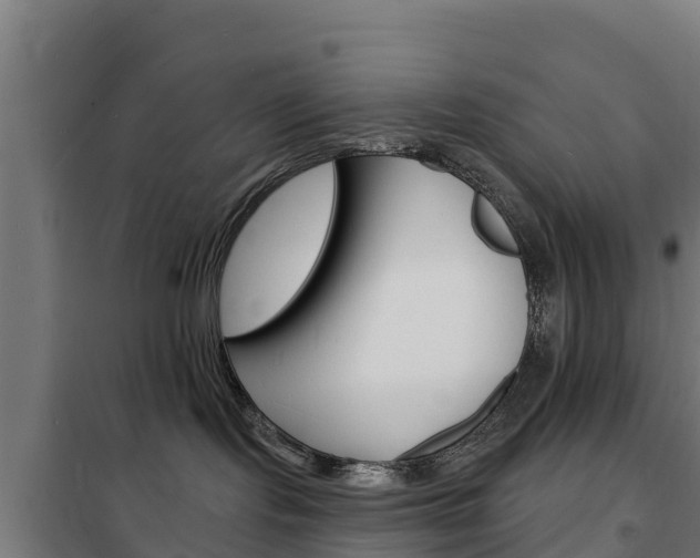 X0000102230095200807250820