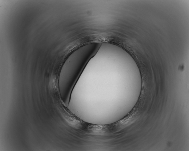 X0000102230096200807250820
