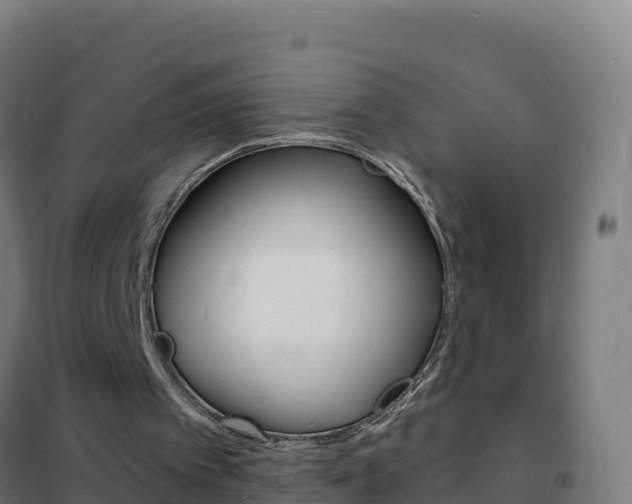 X0000102230097200807250819