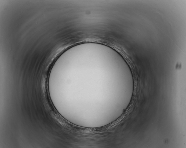 X0000102230098200807250819